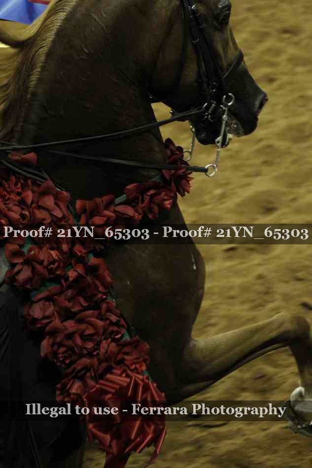Proof 21YN_65303