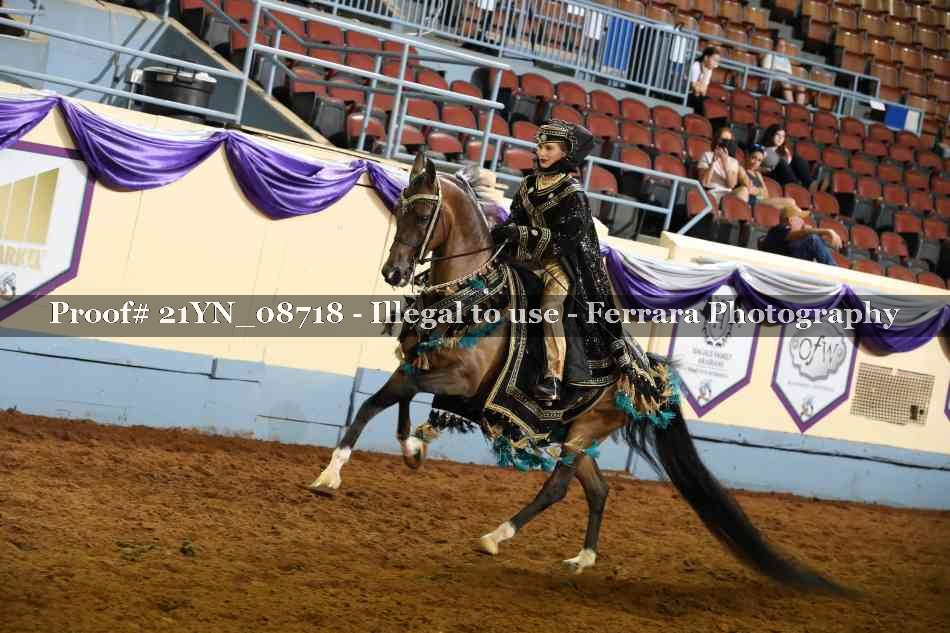 Proof 21YN_08718