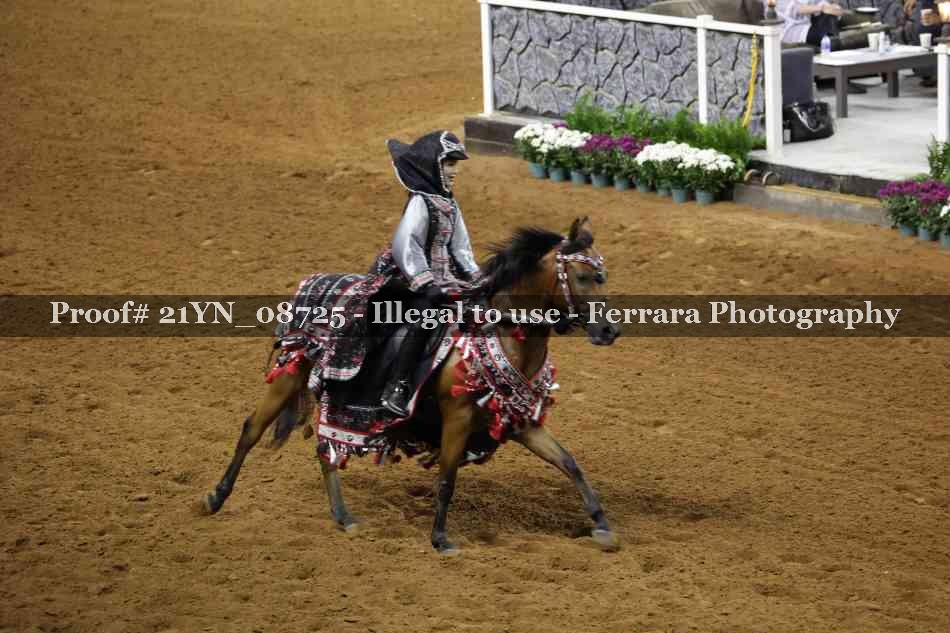 Proof 21YN_08725
