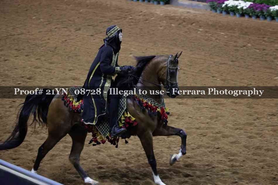 Proof 21YN_08728