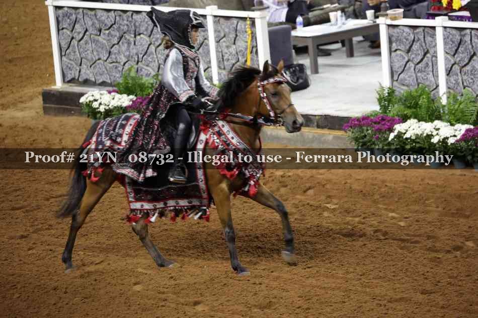 Proof 21YN_08732