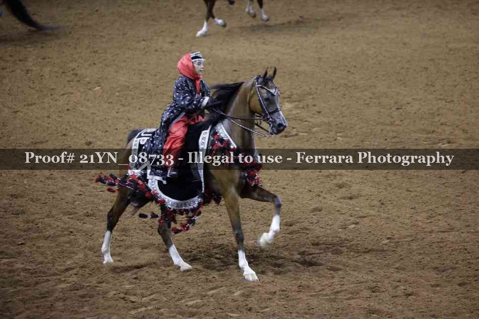 Proof 21YN_08733