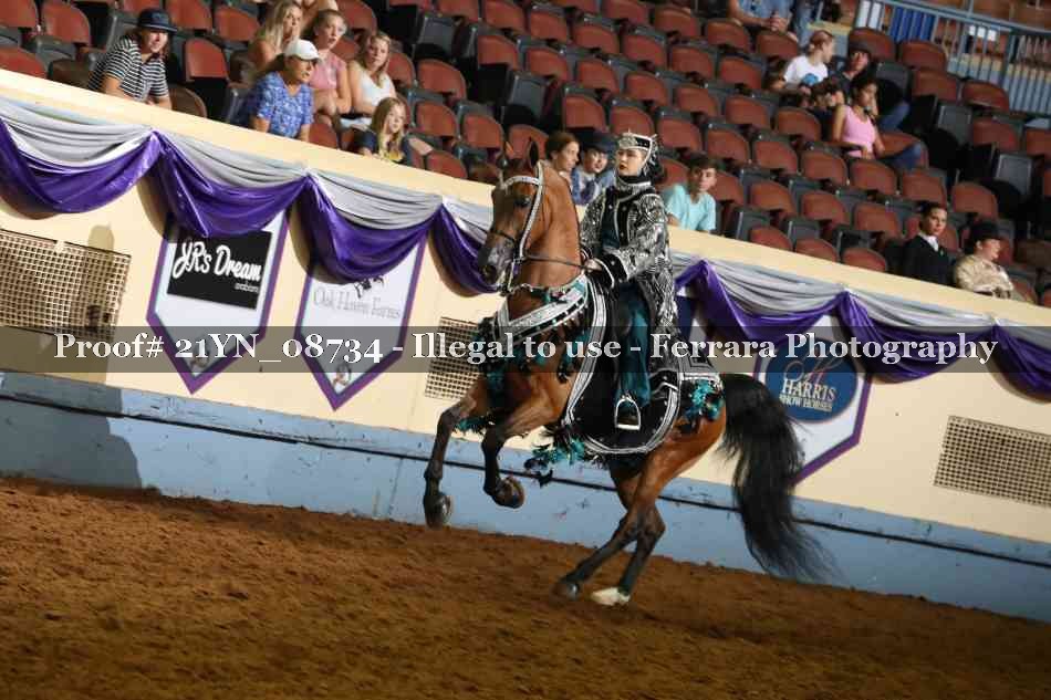 Proof 21YN_08734