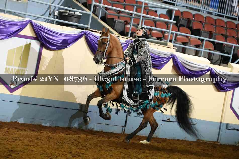 Proof 21YN_08736