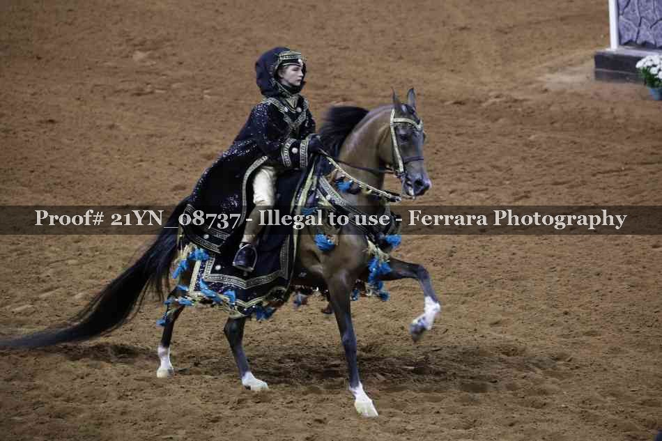Proof 21YN_08737