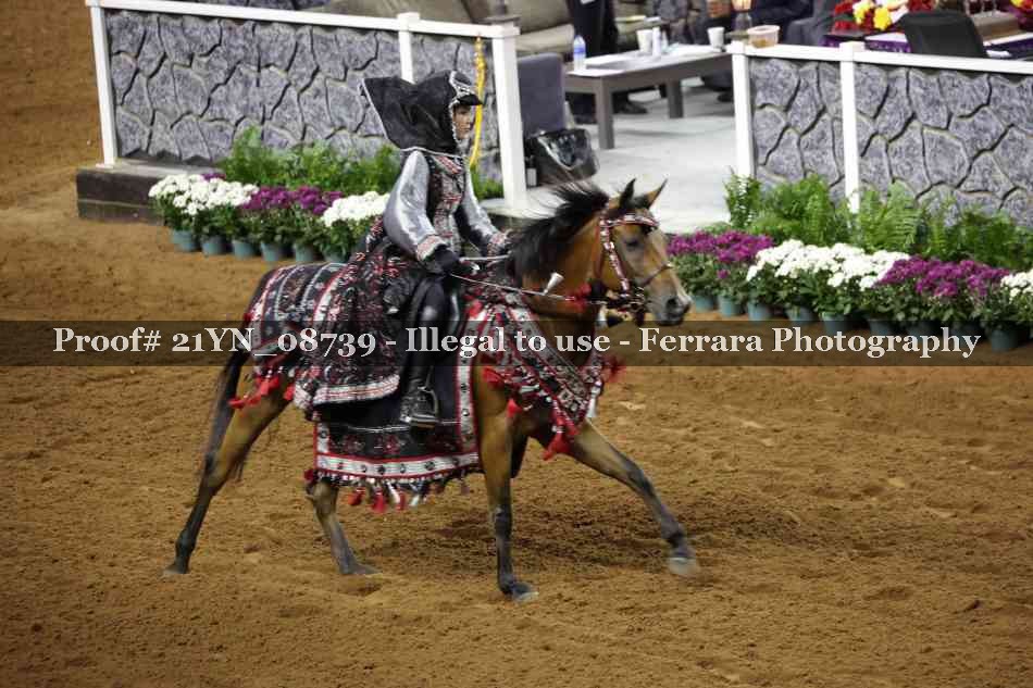 Proof 21YN_08739