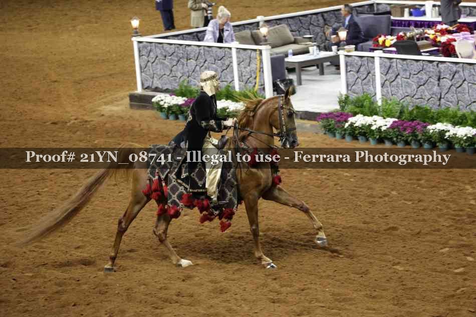 Proof 21YN_08741