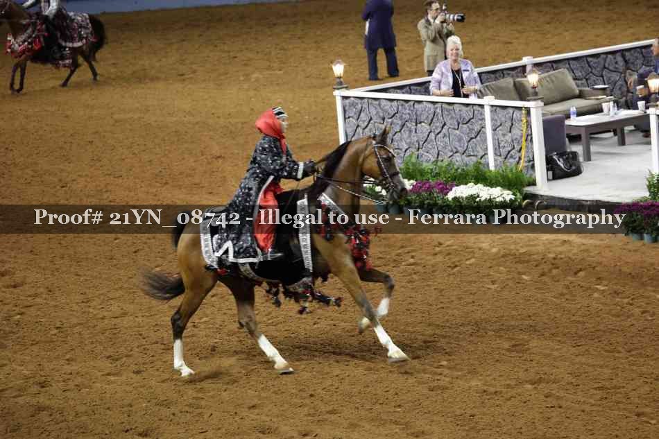 Proof 21YN_08742