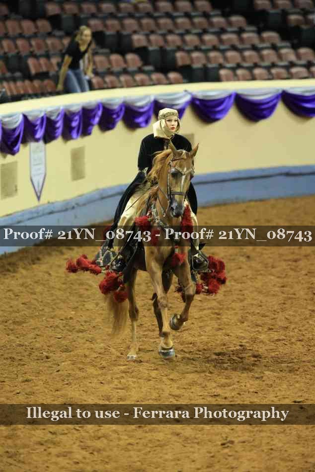 Proof 21YN_08743