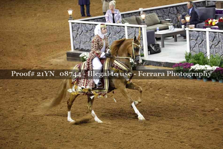 Proof 21YN_08744