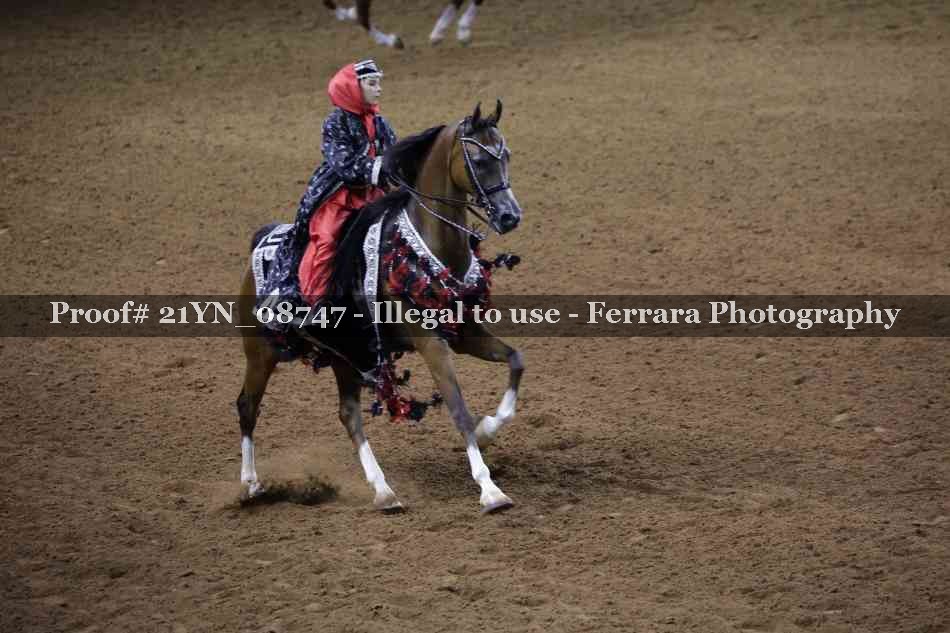 Proof 21YN_08747