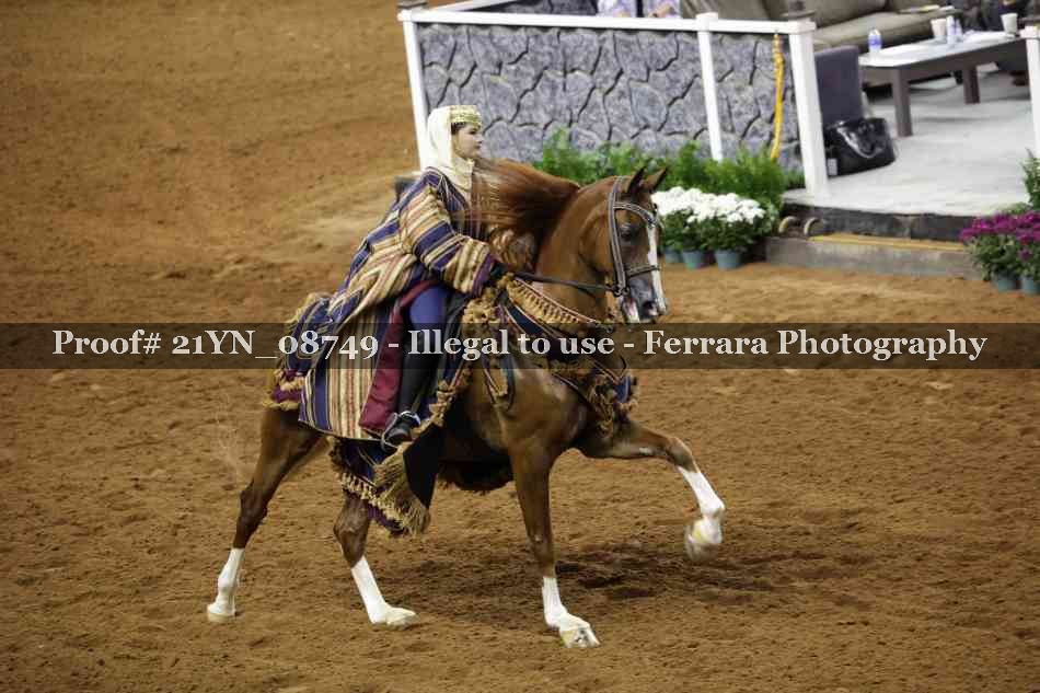 Proof 21YN_08749
