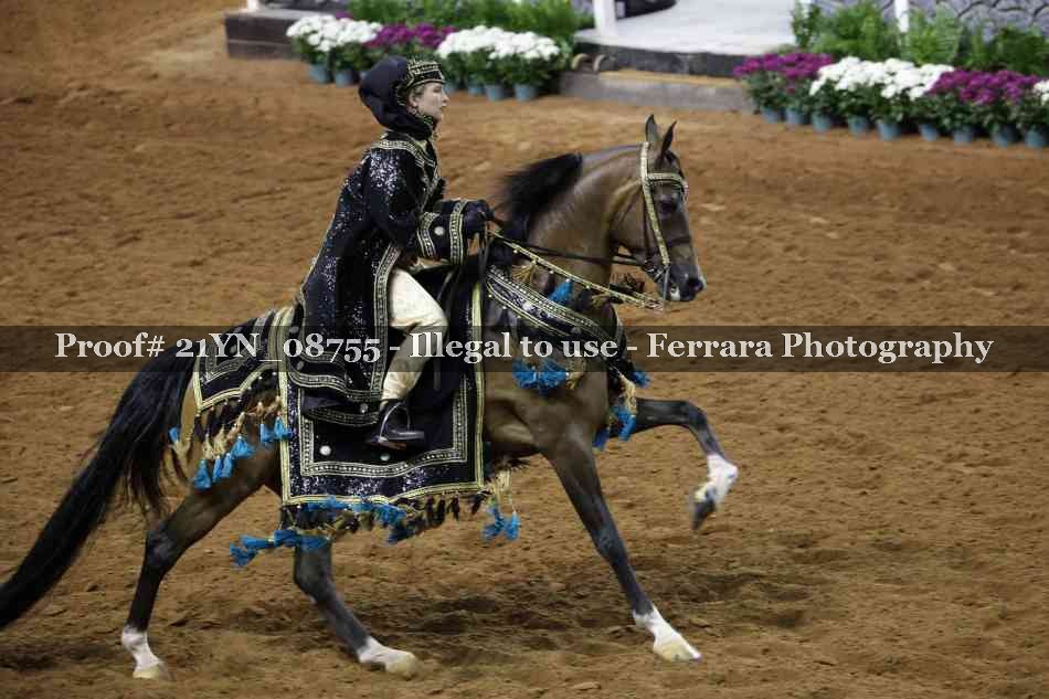 Proof 21YN_08755