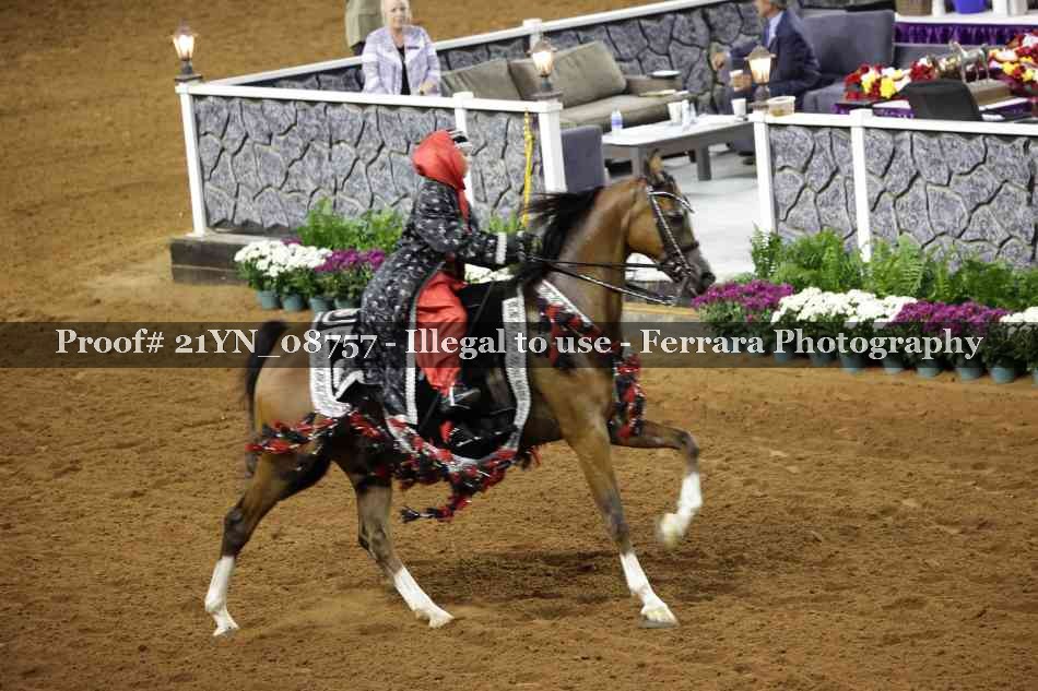 Proof 21YN_08757