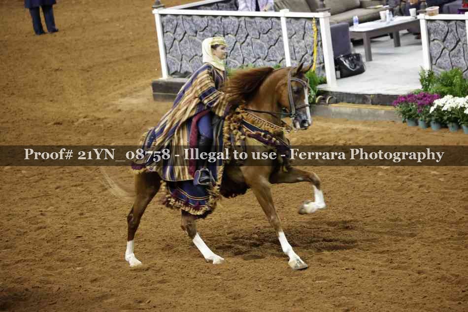Proof 21YN_08758