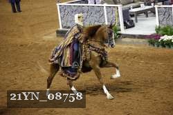 21YN_08758 proof
