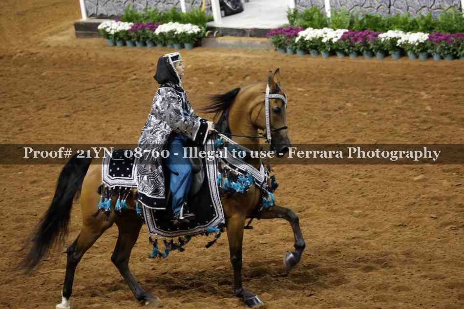 Proof 21YN_08760