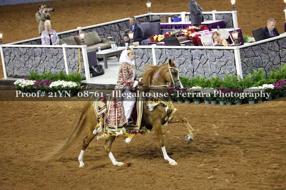 Proof 21YN_08761