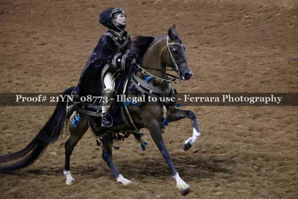 Proof 21YN_08773