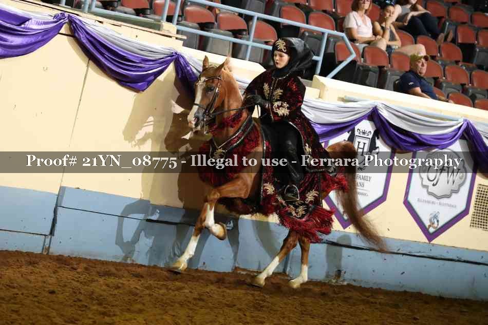 Proof 21YN_08775