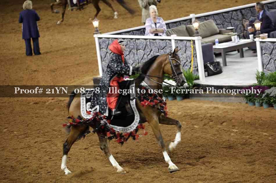 Proof 21YN_08778