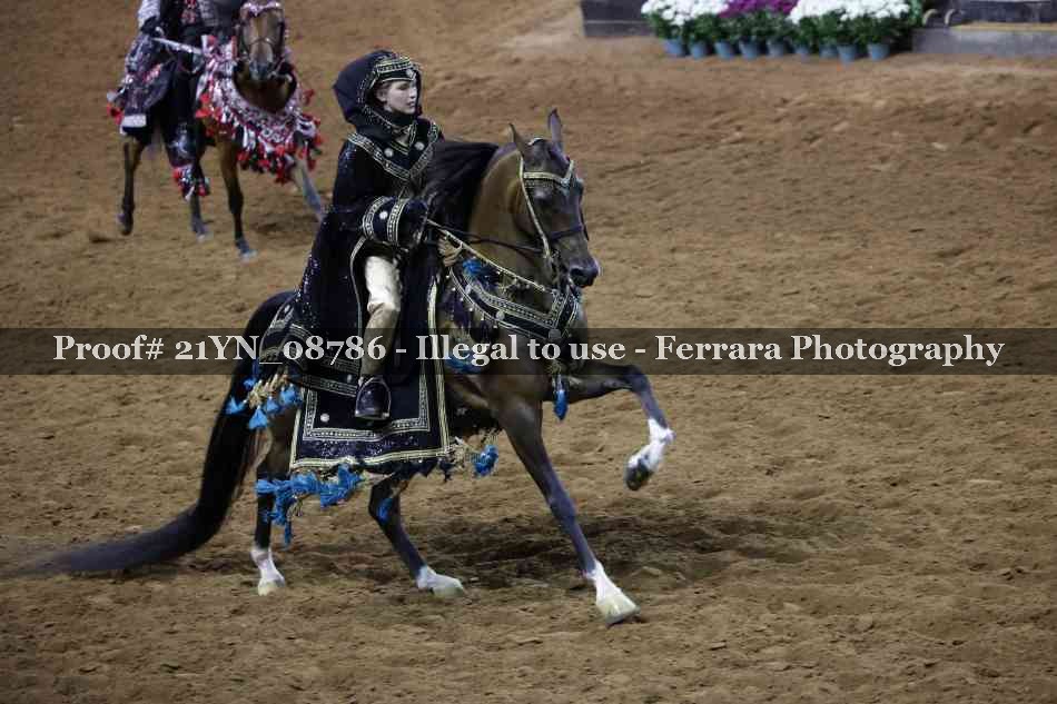 Proof 21YN_08786