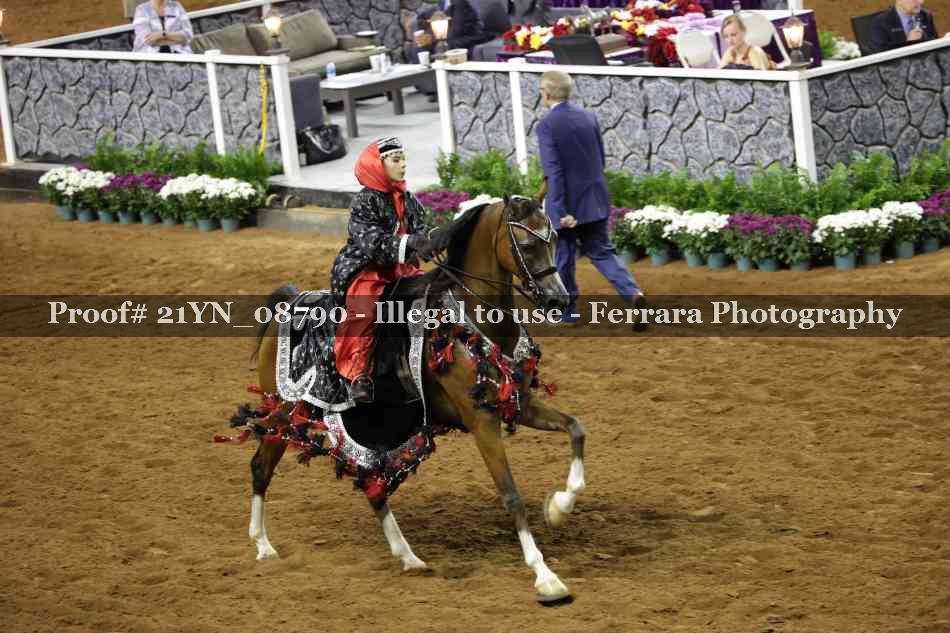 Proof 21YN_08790