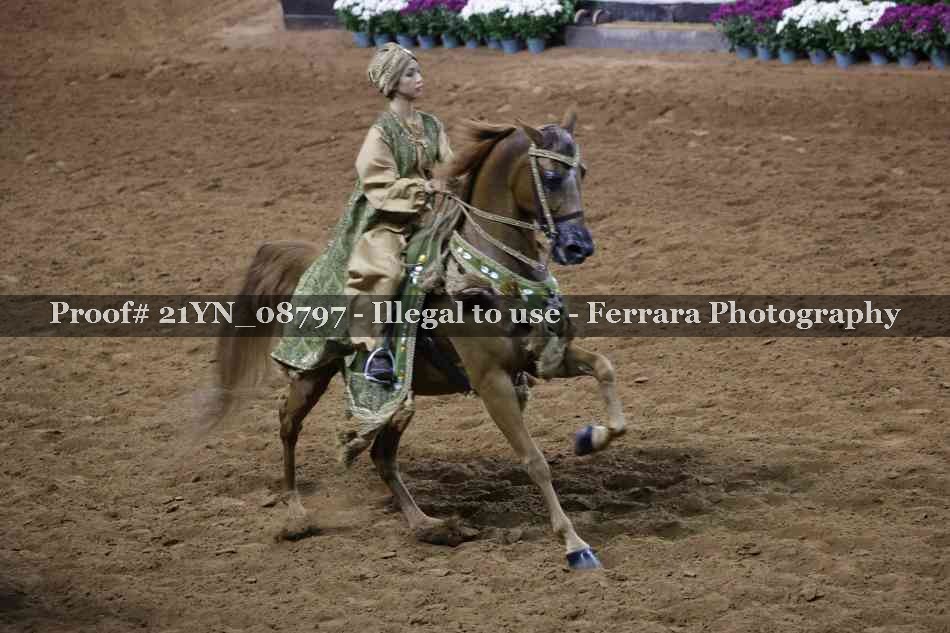 Proof 21YN_08797