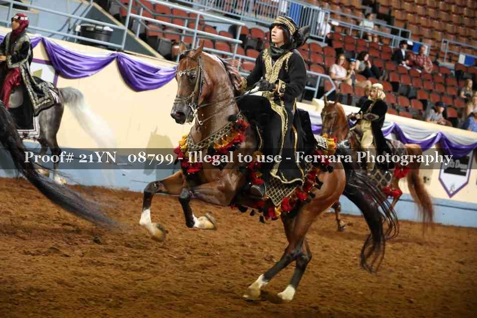 Proof 21YN_08799