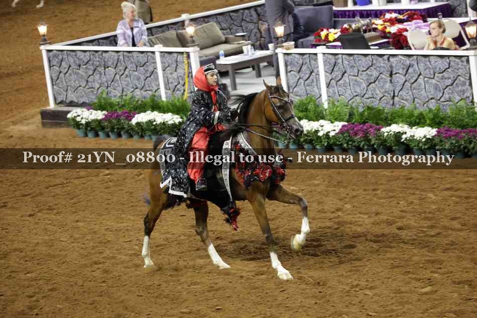 Proof 21YN_08800