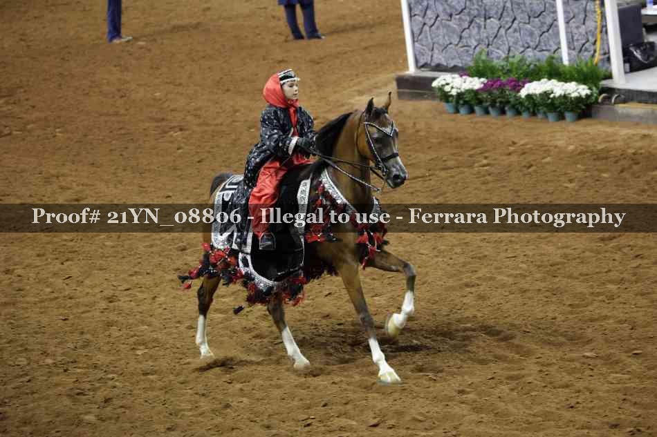 Proof 21YN_08806