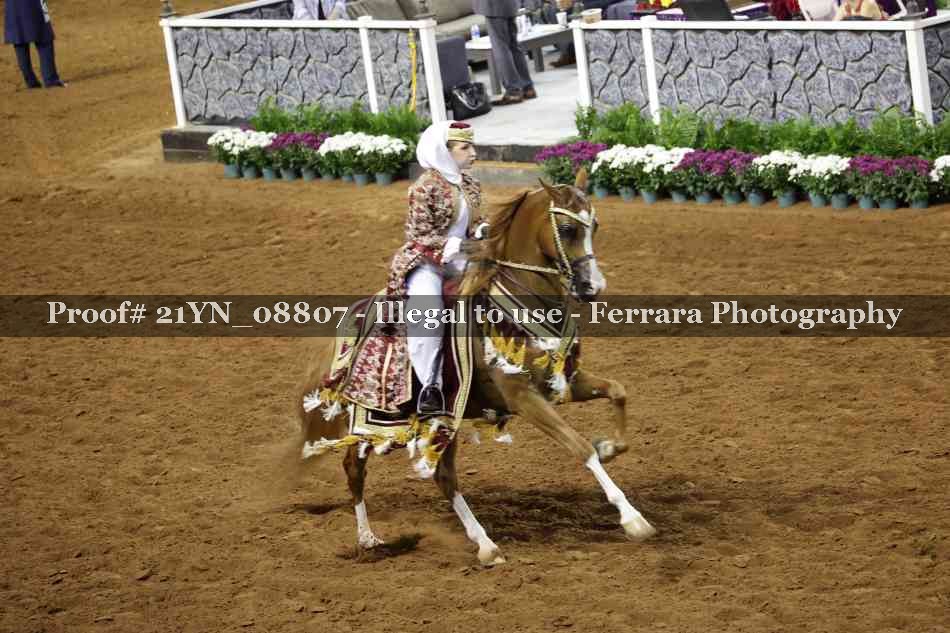 Proof 21YN_08807