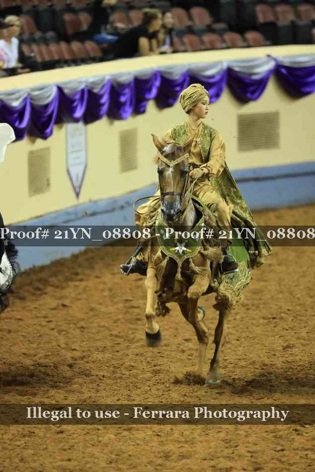 Proof 21YN_08808