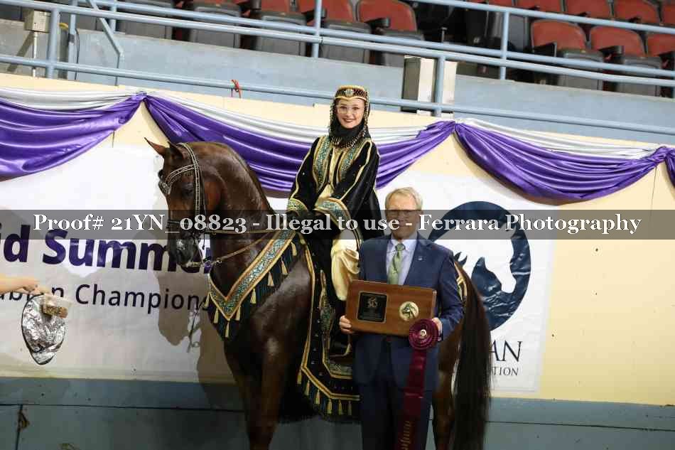 Proof 21YN_08823