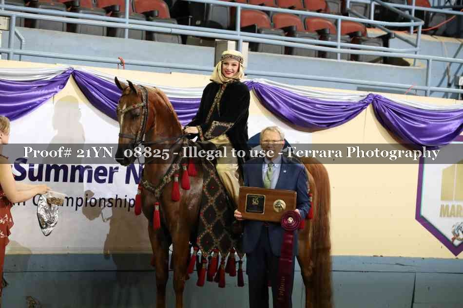 Proof 21YN_08825
