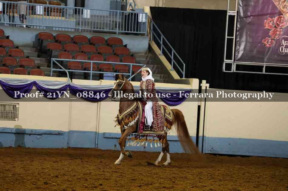 Proof 21YN_08846