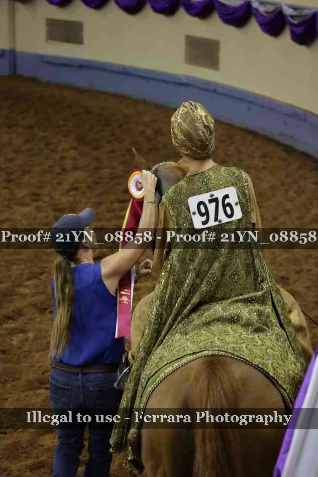 Proof 21YN_08858
