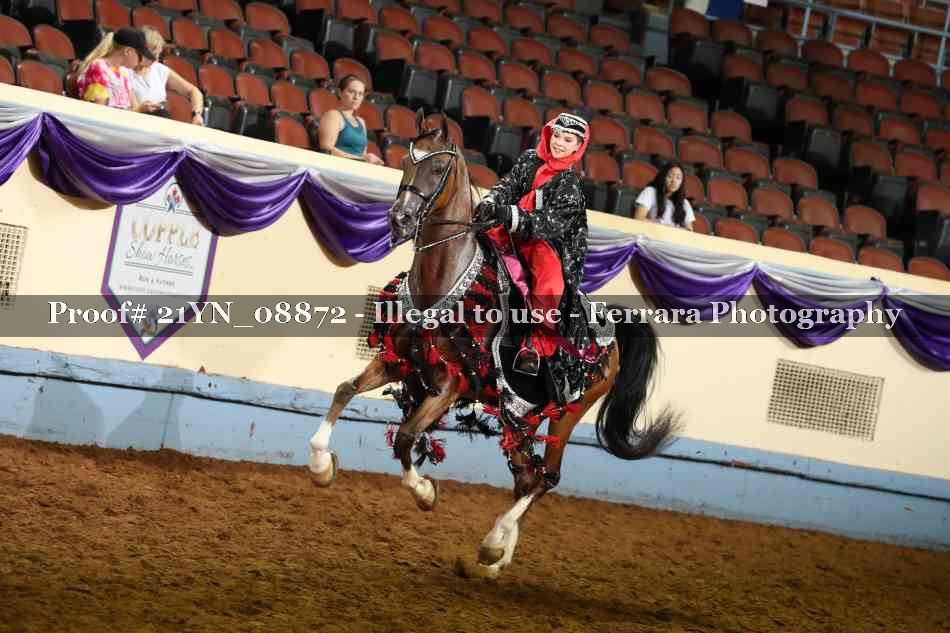 Proof 21YN_08872