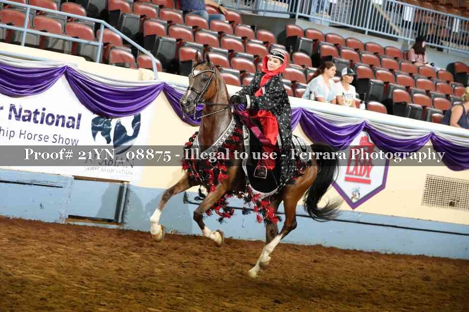 Proof 21YN_08875