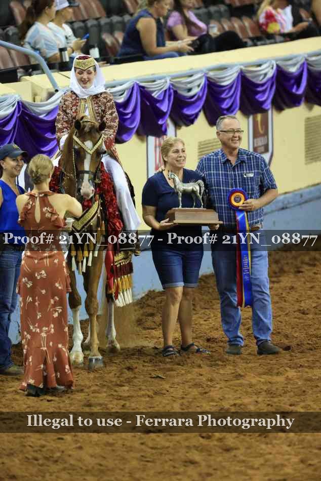 Proof 21YN_08877