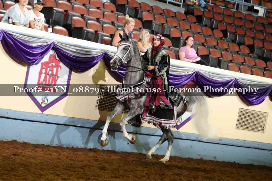Proof 21YN_08879