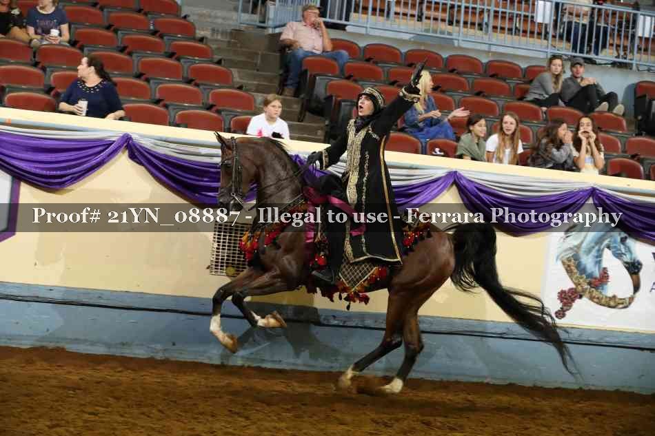 Proof 21YN_08887