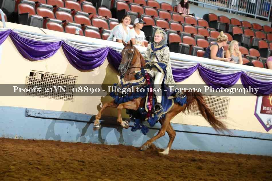 Proof 21YN_08890