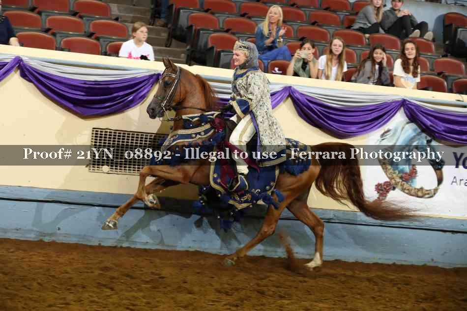 Proof 21YN_08892
