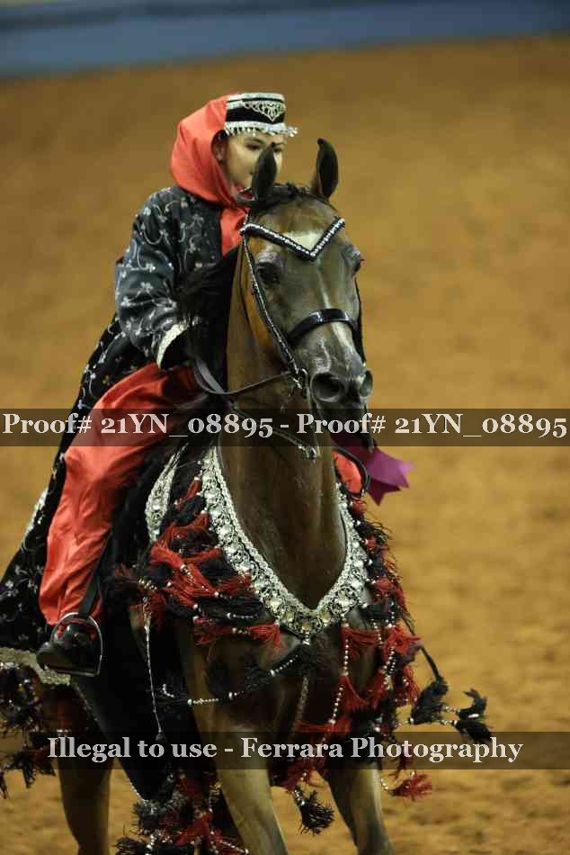 Proof 21YN_08895