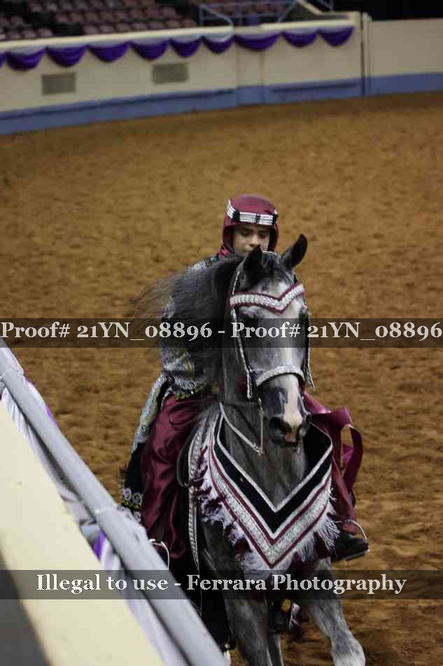Proof 21YN_08896