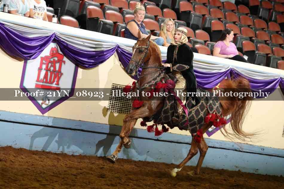 Proof 21YN_08923