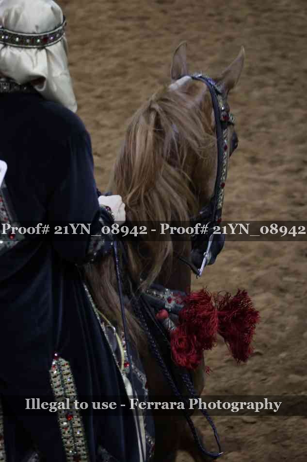 Proof 21YN_08942