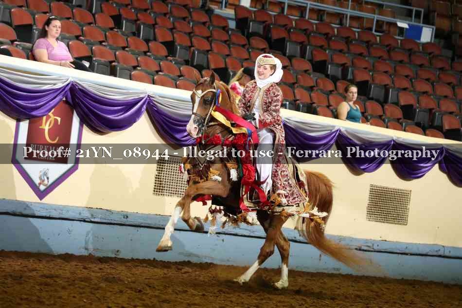 Proof 21YN_08944