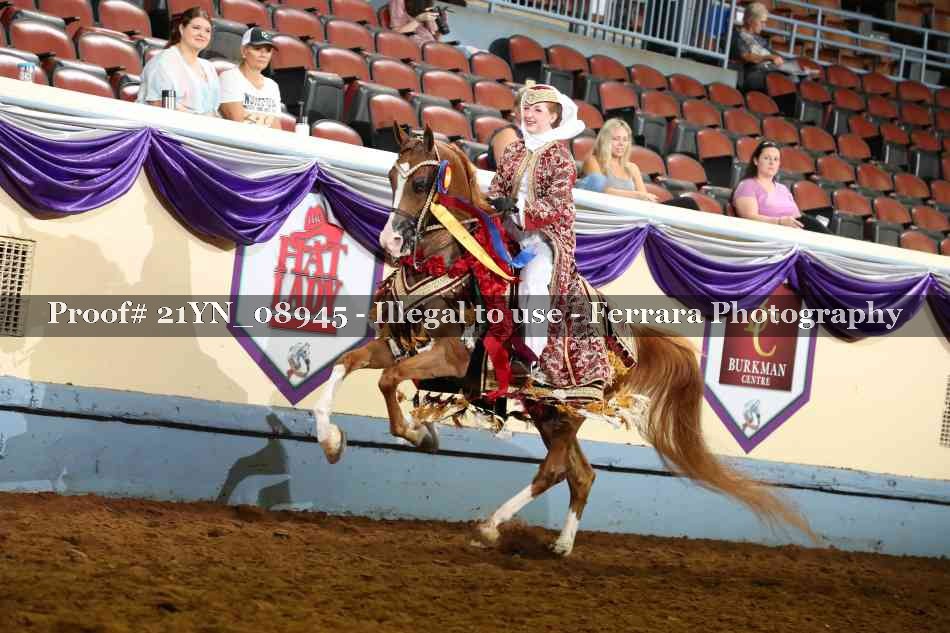 Proof 21YN_08945
